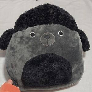 Squishmallow 14" Jettward The Black Poodle Plush Toy EUC